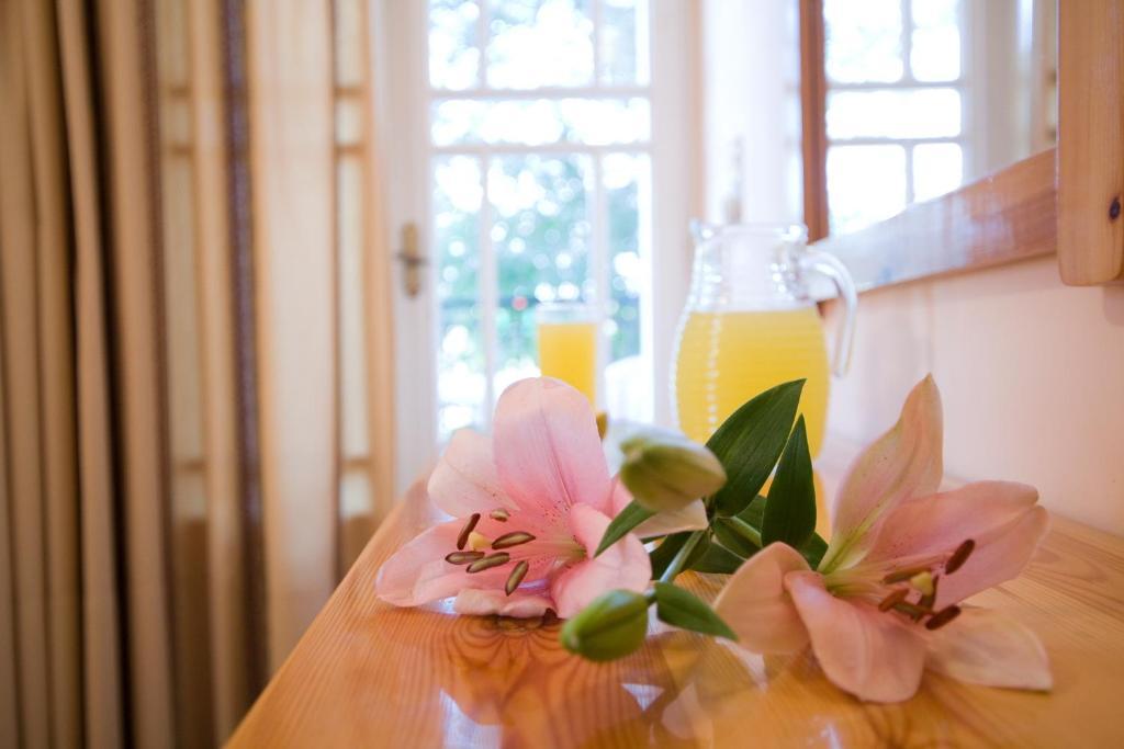 Pansion Filoxenia Apartments & Studios Tsoukaládhes 部屋 写真